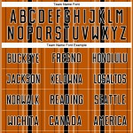 Uniform Soccer Orange Texas Sublimation Black-White Custom Stripe Jersey