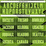 Neon Sublimation Jersey Custom Green Black-White Soccer Line Uniform